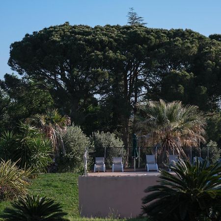 Hotel Mas Elancia Argelès-sur-Mer Exterior foto