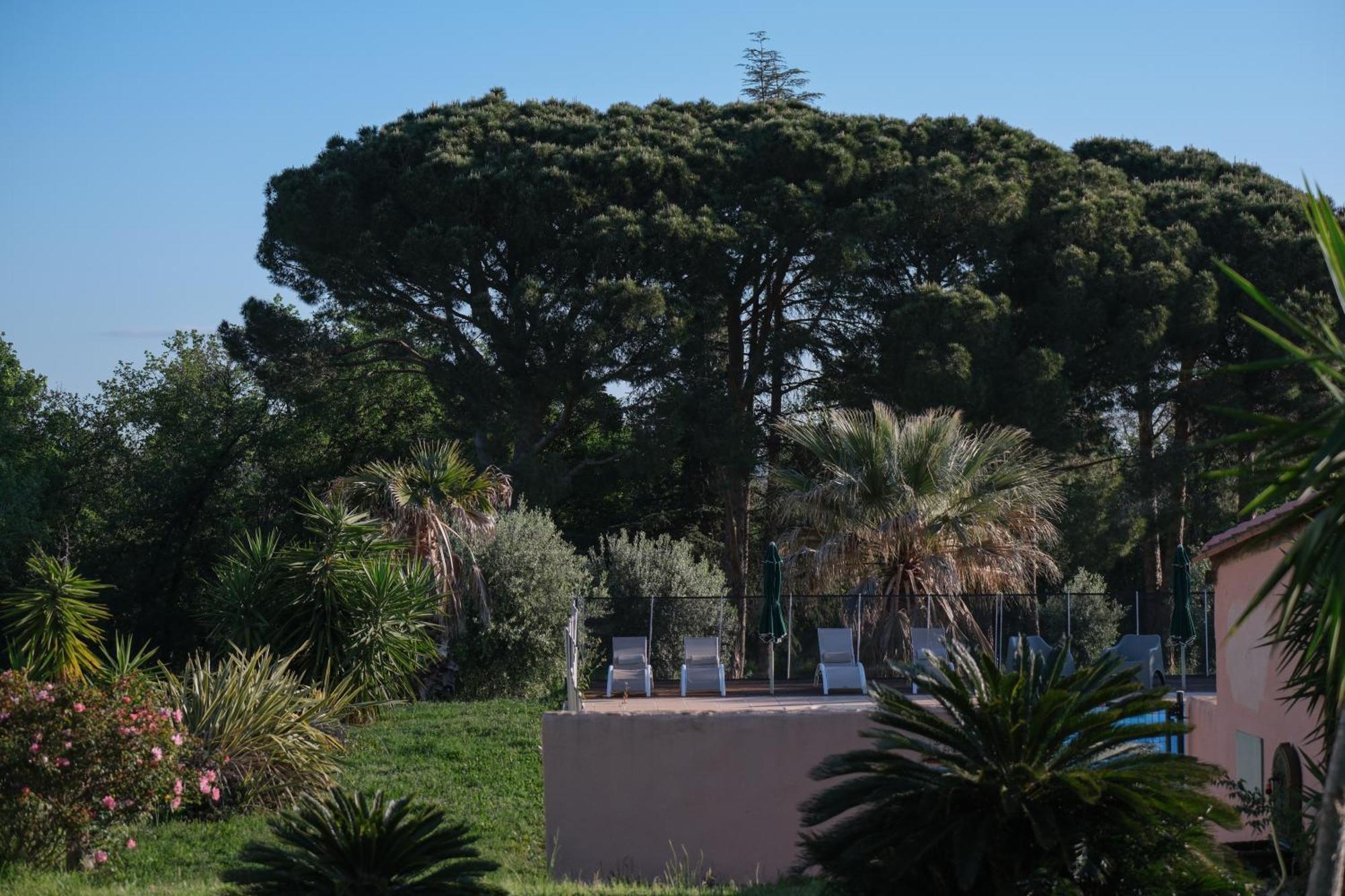 Hotel Mas Elancia Argelès-sur-Mer Exterior foto